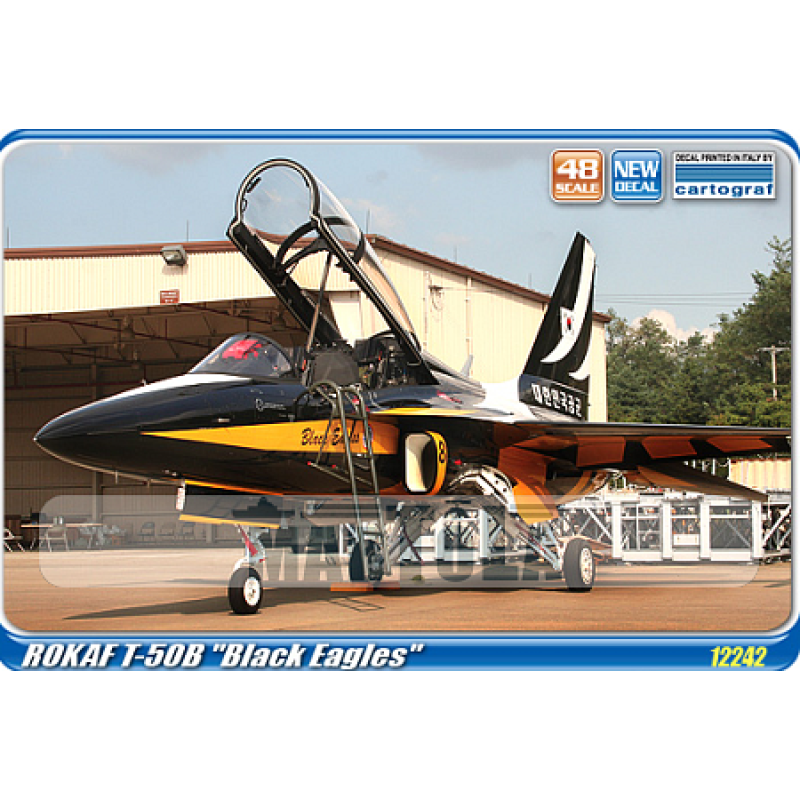 ROKAF T-50B "BLACK EAGLES " 1/48