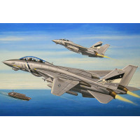 1: 72 F-14 D Tomcat