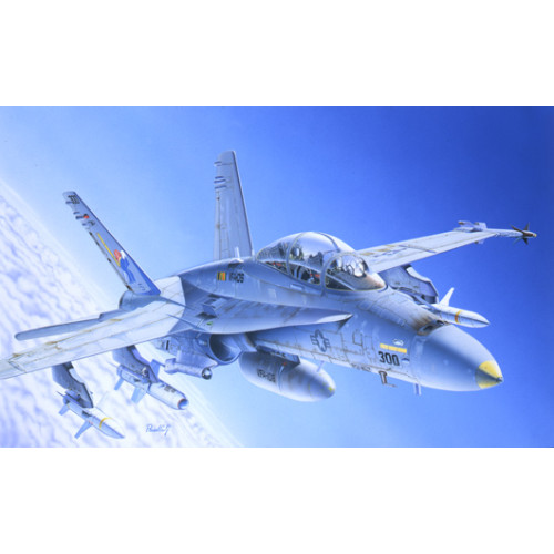 1/72 F/A-18 C/D Wild Weasel