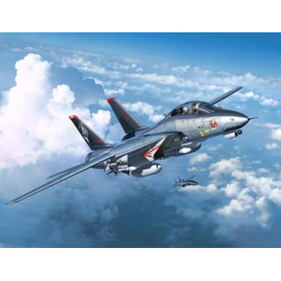 Grumman F-14D Super Tomcat 1/72