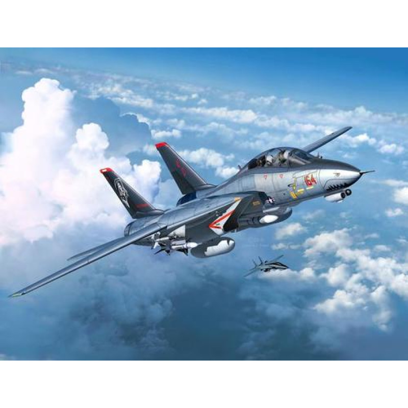 Grumman F-14D Super Tomcat 1/72