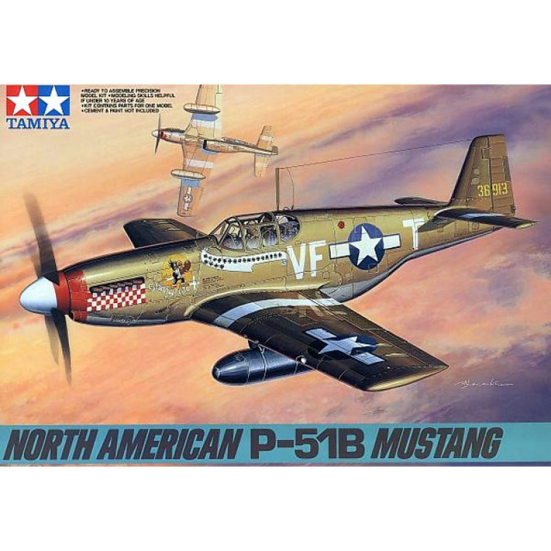 1/48 MUSTANG P-51B